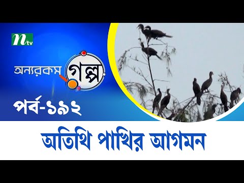 অতিথি পাখির আগমন | Onnorokom Golpo | EP 192 | অন্যরকম গল্প | NTV Shows