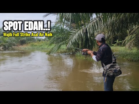 WALAU BANJIR SEDANG FULL TAPI TETAP FULL SAMBARAN IKAN PREDATOR GANAS