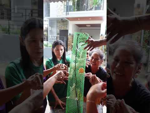 unahan ilabas ang bola