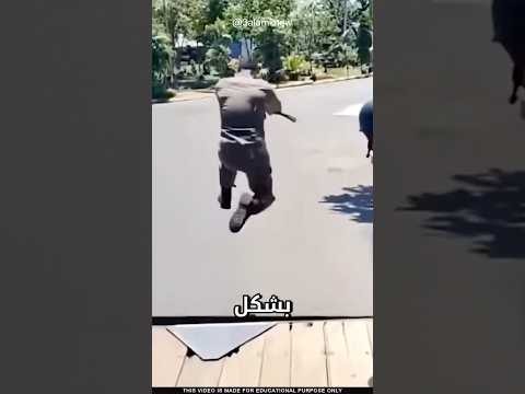 ما سر النسبية الغاليلية