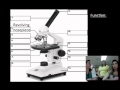 Microscope Parts and Their Functions