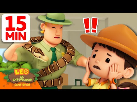 ¿¡Una pitón se enrolla alrededor de los Rangers?! 🐍 | 15 Min | Leo, El Explorador | Animación