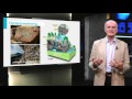 Weathering and Erosion Processes