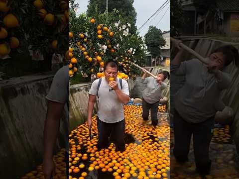 माँ आज छोटू को क्यों मार रही है 🥺😭 #shortvideo #indianshorts #orangejuice #orangerecipe
