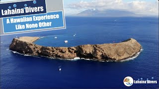 Lahaina Divers... A Hawaiian Experience Like None Other!