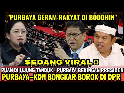 MENGEJUTKAN!! PURBAYA MAKIN BRINGAS TAK TERKENDALI?BONGKAR BOROK DI DPR, PUAN DI UJUNG TANDUK?! 