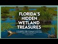 Everglades Ecosystem and Conservation