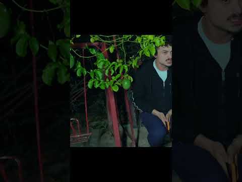 QUANDO UM ESPÍRITO TENTA ME ATORMENTAR MAS EU JÁ ESTOU ACOSTUMADO. #maxpetterson