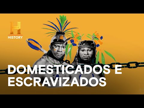 🏹🌱O impacto da Guerra do Paraguai sobre os povos indígenas🏹⚔️ | B DE BRASIL | HISTORY