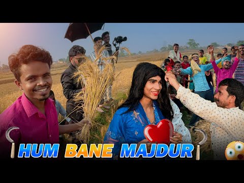 Gehun Katai || Funny Vlog | AMIT KA VLOG
