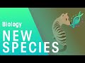 Exploring the Formation of New Species through Speciation