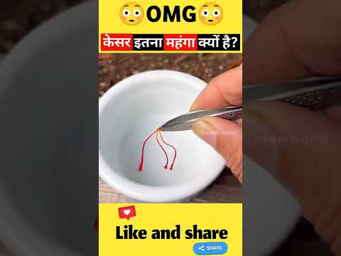 kesar itna mehnga kyu hota hai | kesar ki kheti #shortsfeed #shorts