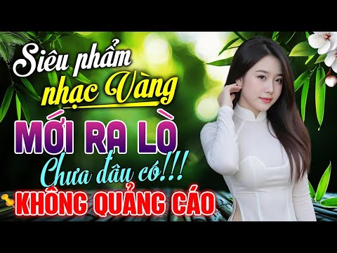 HÁI TRỘM HOA RỪNG – LK Rumba Trữ Tình 2025 ĐỘC LẠ CÓ 102 | KHÔNG QUẢNG CÁO