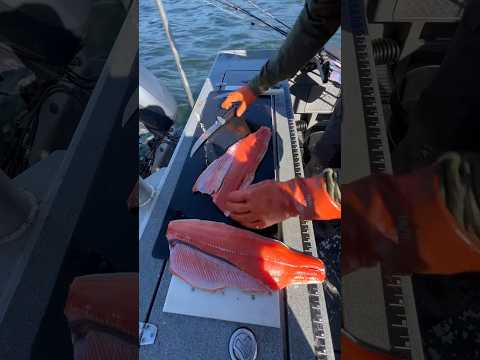 How To filet a Salmon