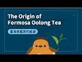 Taiwan's Historical Transformation