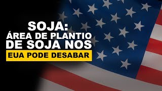 SOJA: ÁREA DE PLANTIO DE SOJA NOS EUA PODE DESABAR