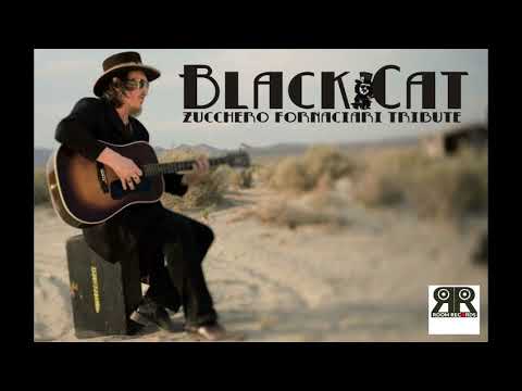 Black Cat Tribute Zucchero