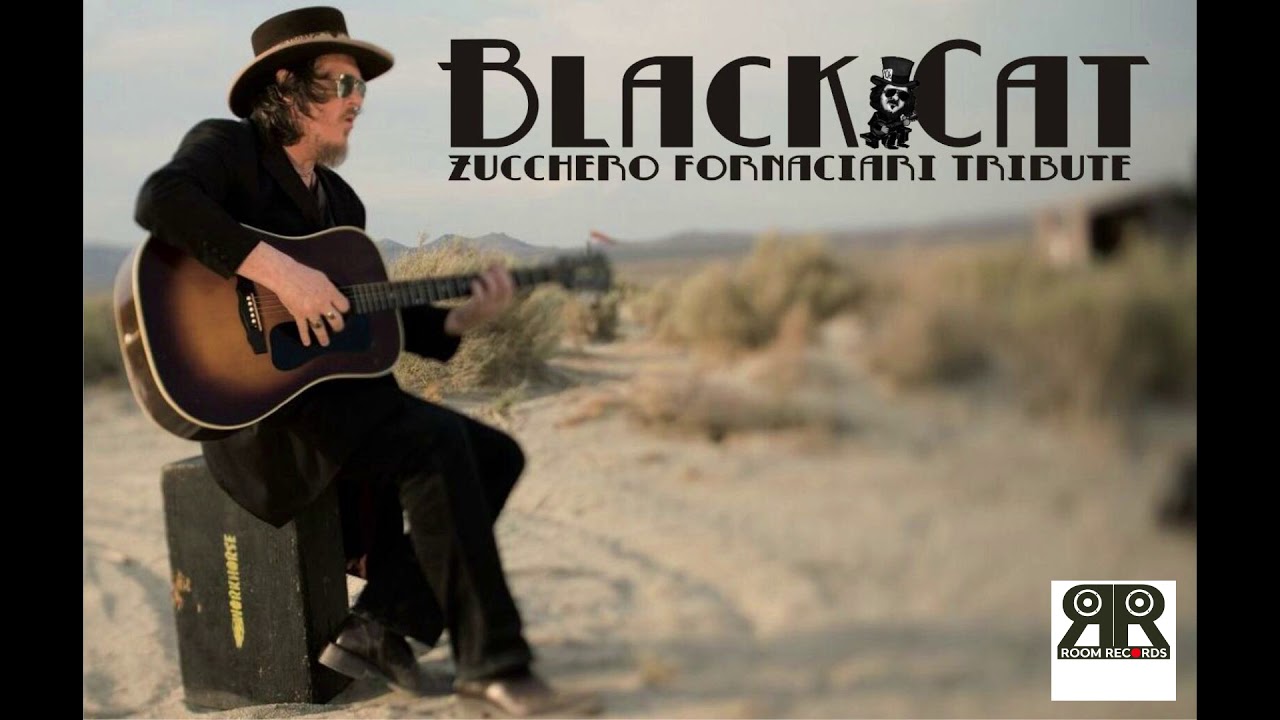 Black Cat Tribute Zucchero