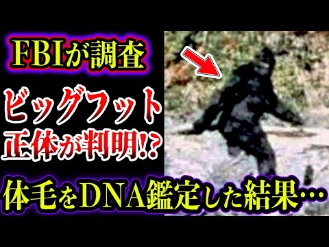 【総集編】FBIがビッグフットの正体を調査！？DNA調査で正体が判明！？目撃証言がヤバい【ゆっくり解説】【UMA・未確認生物】