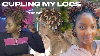 HOW I CURL MY SISTERLOCKS | with perm rods + loc style ♡