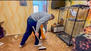 видео