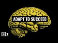 Understanding Modern Elders and Business Evolution