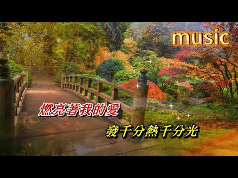 奮鬥 甄妮KTV 伴奏 no vocal 無人聲 music 純音樂 karaoke 卡拉OK 伴唱奮鬥 甄妮