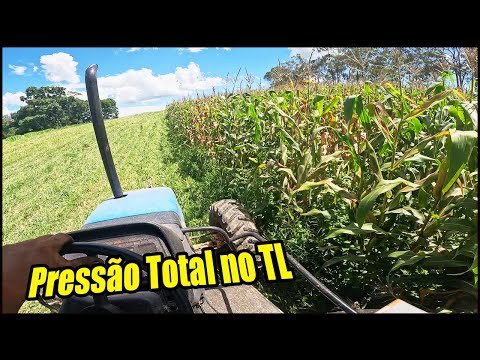 SE NÃO FOSSE TURBINADO NÃO AGUENTAVA! COLOCANDO PARA MOER LITERALMENTE O NEW HOLLAND TL 75E TURBO!