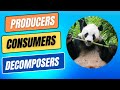 Ecosystem and Its Components