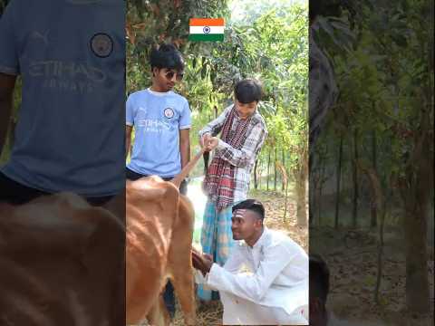 গাভী নিয়ে এই মূর্খতার সেষ কোথায় #comedy #funny #indian #hindhu #shorts