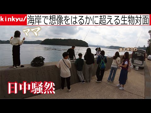 海を眺めていたら突如想像を超える大きさの生物が揚がりあまりの衝撃に日中は騒然となった