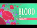 Exploring the Components and Functions of Blood