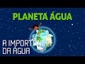 Importância da Água em Nossas Vidas