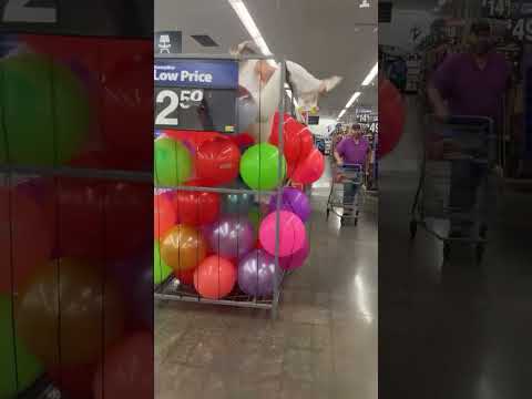 Today at @Walmart #walmart #funny #funnyvideos #comedyfilms 🤣😂🤣😂