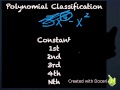 Understanding Polynomials and Their Classifications