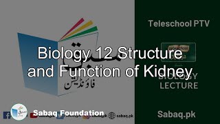 Biology 12 Structure and Function of Kidney