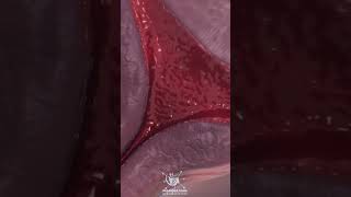 The Body’s Monthly Symphony  #periods #satisfying