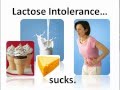 Lactase and Enzyme Applications in Food