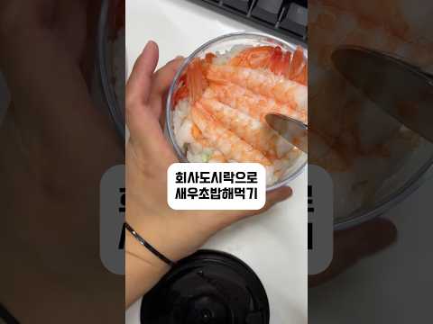 회사도시락 어디까지 싸봤니 #새우초밥