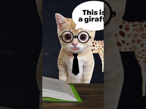 Banana Cat School - Animals 🐱🍌🍎😭