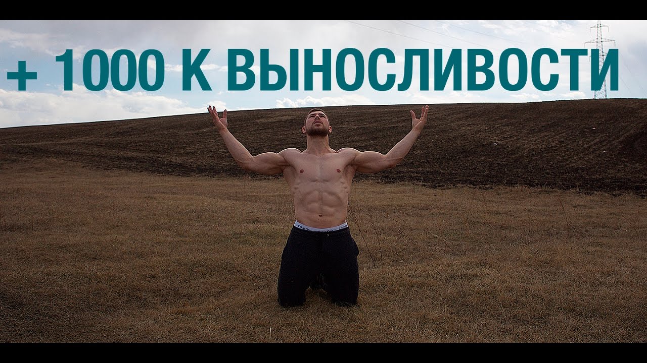 + 1000 к выносливости офп