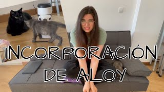 Incorporación de Aloy
