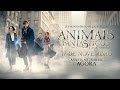 Trailer 3 do filme Fantastic Beasts & Where to Find Them