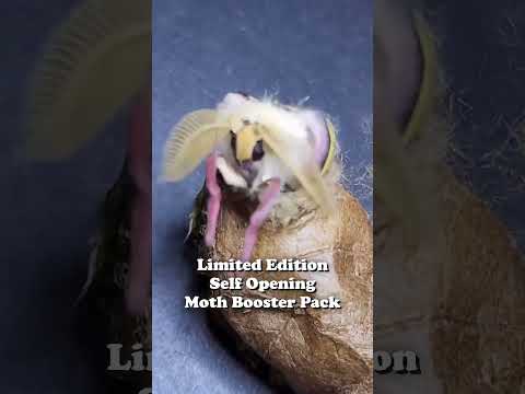 Self Opening Moth Booster Pack