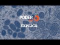 Varíola dos Macacos: Perguntas e Respostas
