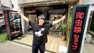 秋葉原にある爬虫類ショップに行ってきました！