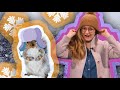 Exploring Animal Adaptations for Winter Survival