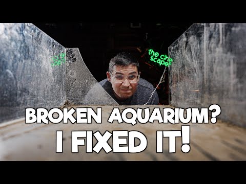 Restoring a broken Aquarium - I did it!🤩