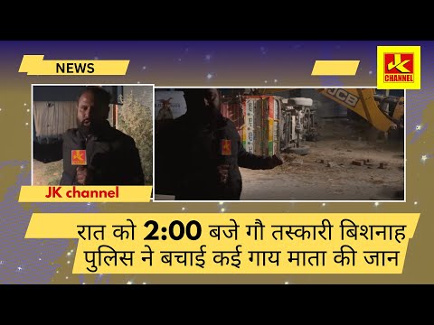 रात को 2:00 बजे गौ तस्कारी बिशनाह पुलिस ने बचाई कई गाय माता की जान