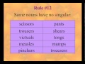 Exploring Singular and Plural Nouns